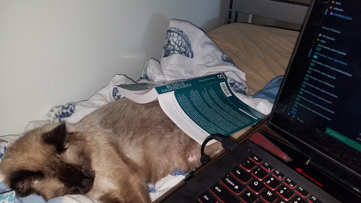 quikstor work from home wfh remote office laptop on bed with cat under book