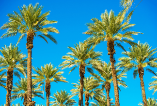 california