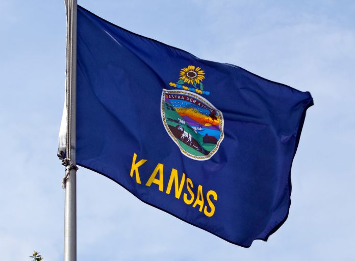kansas state flag